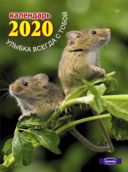Настенный перекидной календарь «Улыбка всегда с тобой» (12+) на 2020 год